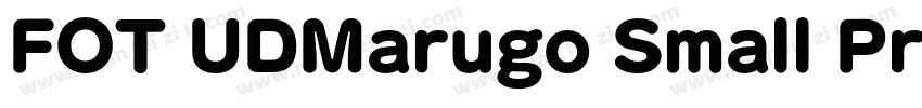 FOT UDMarugo Small Pr6N Bold字体转换